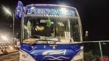 Penguin tours and travels Bus-Front Image