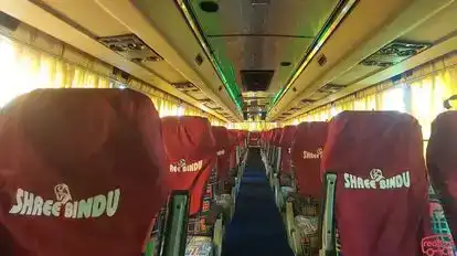 SHREE BINDU TRAVELS Bus-Seats Image