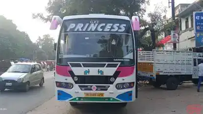 Princess Travels  Bus-Front Image