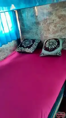 Shri Ankit Travels Bus-Seats Image
