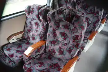 Mayang Sari Express Bus-Side Image