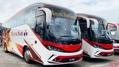 Mayang Sari Express Bus-Front Image