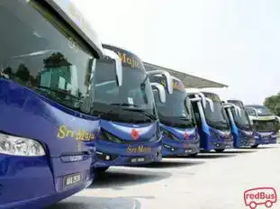 Sri Maju Express Kangar Bus-Front Image