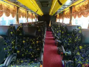 Alisan Golden Coach Bus-Seats Image