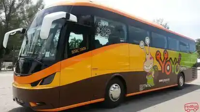 YOYO Express Bus-Side Image