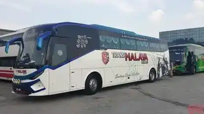 TransMalaya Ekspres Bus-Side Image