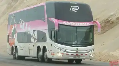 Andoriña Tours Bus-Side Image
