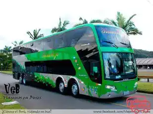 Romeliza Bus-Front Image
