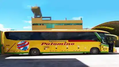 Wari Palomino Bus-Front Image