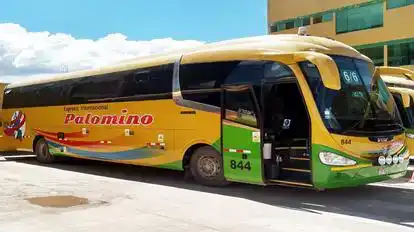Wari Palomino Bus-Front Image
