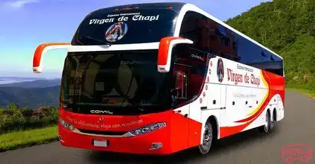 Virgen de Chapi Bus-Front Image