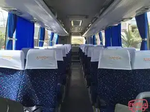 Ainhoa Transport Bus-Seats Image