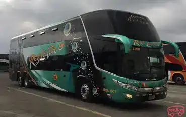 Rey Latino Bus-Front Image