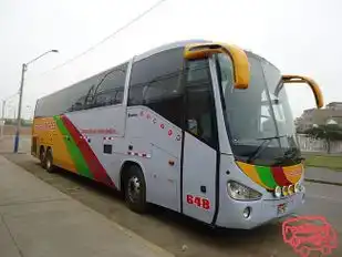 Cruzero Express Bus-Front Image