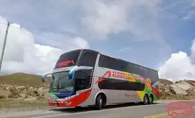 Maldonado Tours Bus-Seats Image
