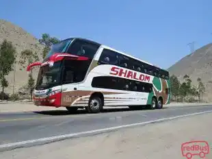Shalom Bus Bus-Front Image