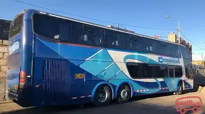 Cosmos Bus-Seats Image