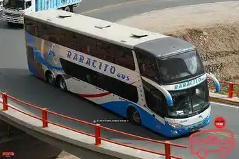 Raracito Bus Bus-Front Image