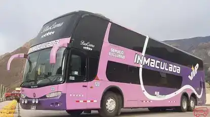 Transportes Inmaculada Bus-Front Image