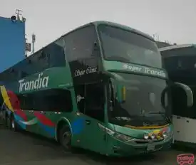 Trandia Bus-Front Image