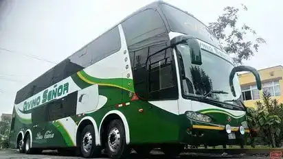 Divino Señor Express Bus-Front Image