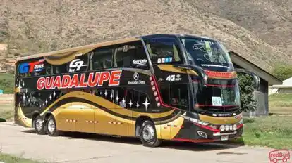 Guadalupe tours Bus-Side Image