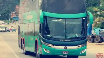 Turismo Carhuamayo Bus-Front Image