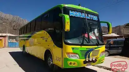 Internacional Moralitos Bus-Seats Image