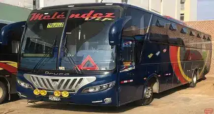Transportes Melendez Bus-Front Image