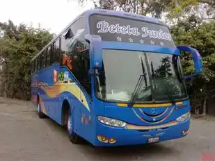 Beteta Junior Bus-Front Image