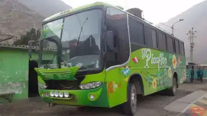 Picaflor Tours Bus-Front Image