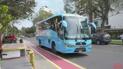 Airport Express Bus-Front Image