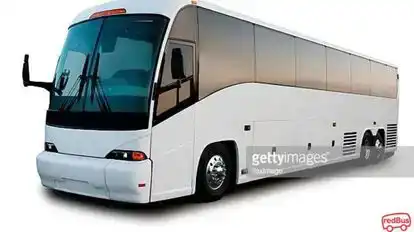 Not Null Travels Bus-Front Image