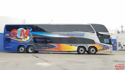 GM Internacional Bus-Front Image