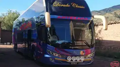 Antezana Bus-Front Image