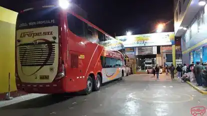 Oropesa Bus-Front Image