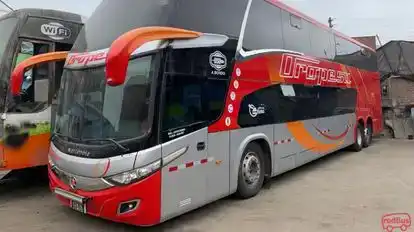 Oropesa Bus-Front Image