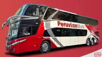 Peruvian Bus Bus-Side Image