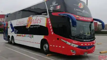 Linea de los Andes Bus-Side Image