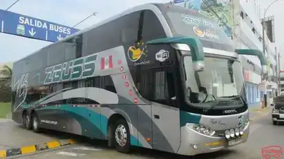 Z Buss Bus-Front Image