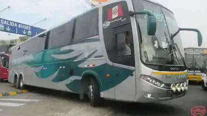 Z Buss Bus-Front Image