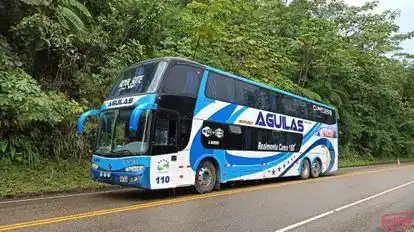 Express Aguilas Bus-Front Image