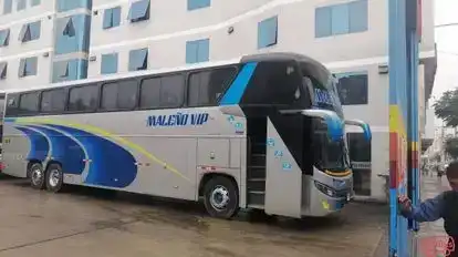 Maleño Vip Bus-Side Image