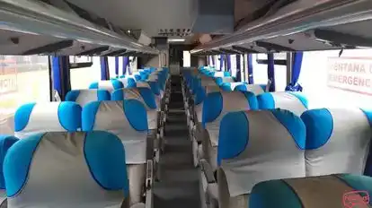 Maleño Vip Bus-Seats Image