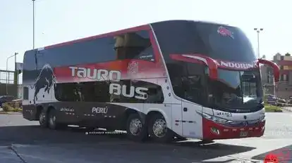 Tauro Bus Perú Bus-Front Image