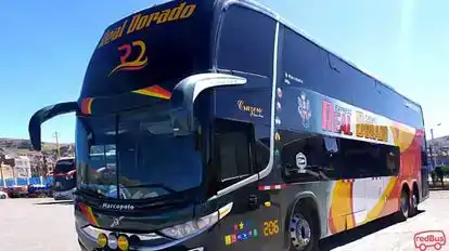 Real Dorado Bus-Front Image