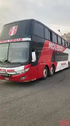 Molibus Bus-Side Image