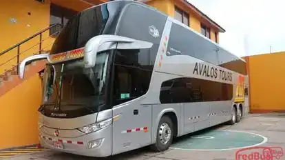 Avalos Tours Bus-Front Image