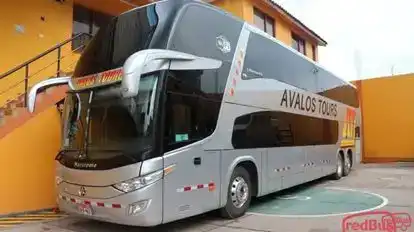 Avalos Tours Bus-Front Image