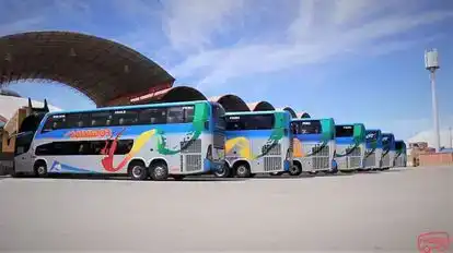 Transsalvador Bus-Side Image